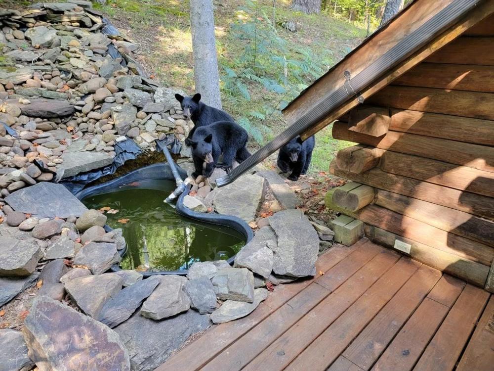 סביירוויל Very Private, Real Log Cabin With Hot Tub! מראה חיצוני תמונה