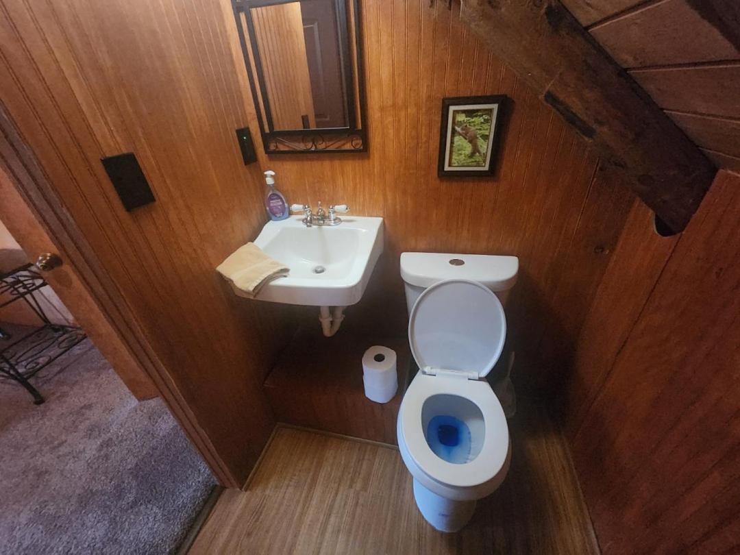 סביירוויל Very Private, Real Log Cabin With Hot Tub! מראה חיצוני תמונה